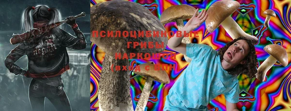 экстази Пересвет