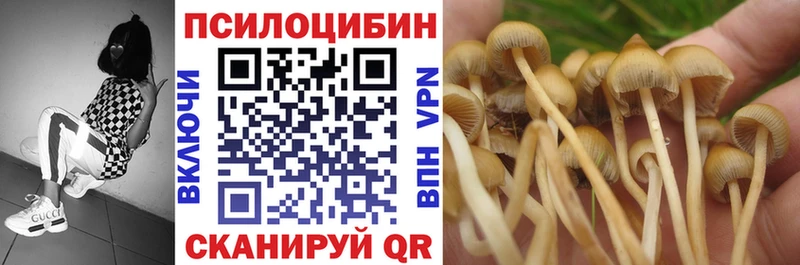 магазин продажи   omg ссылки  Псилоцибиновые грибы мицелий  Усть-Джегута 